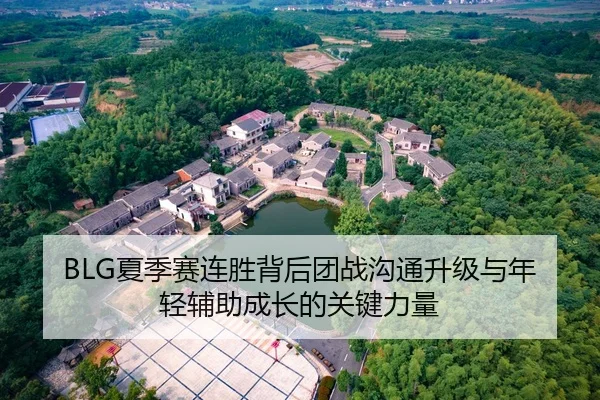BLG夏季赛连胜背后团战沟通升级与年轻辅助成长的关键力量